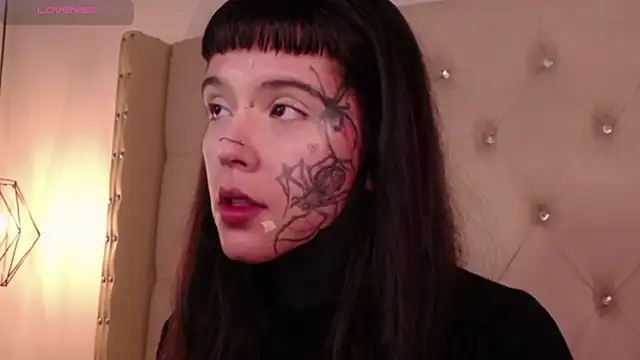 SylveonFox online show from December 22, 2024, 8:27 am