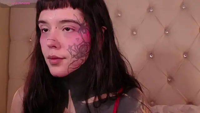 SylveonFox online show from December 24, 2024, 1:17 pm