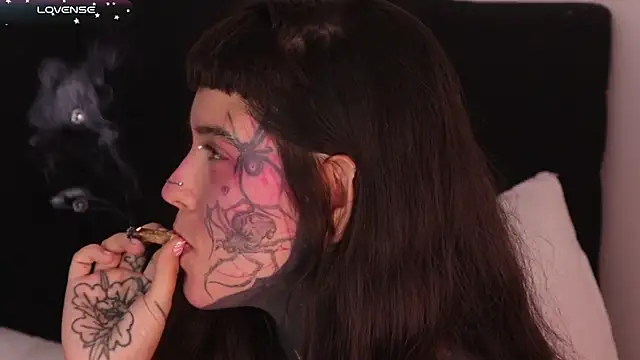 SylveonFox online show from February 11, 2025, 2:57 pm