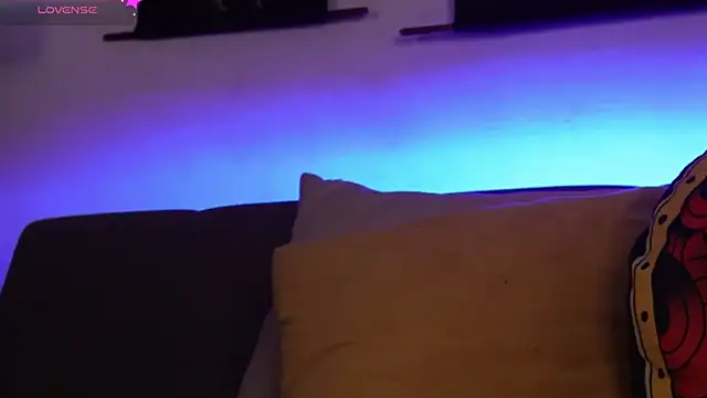 SylveonFox online show from November 22, 2025, 9:47 pm