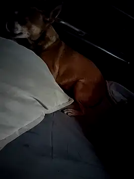 FloppyPickle4u online show from February 28, 2025, 4:31 pm