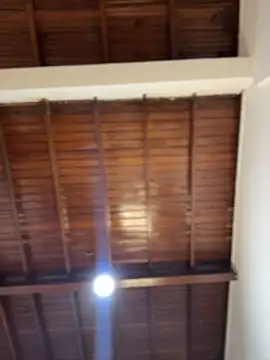 emiss  online show from February 8, 2026, 3:59 pm