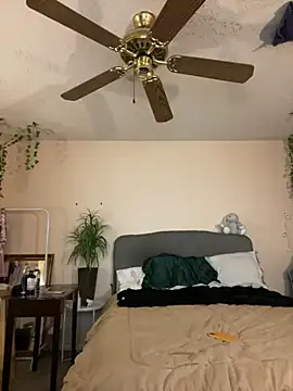 Snapshot of magicalc00ch chatting on December 23, 2024, 3:29 am magicalc00ch online show from December 23, 2024, 3:29 am