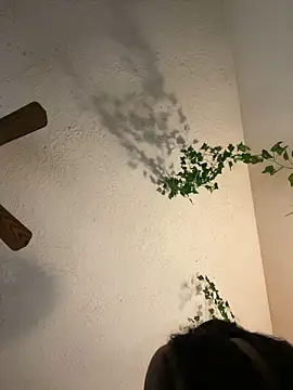 Snapshot of magicalc00ch chatting on January 25, 2025, 12:48 am magicalc00ch online show from January 25, 2025, 12:48 am