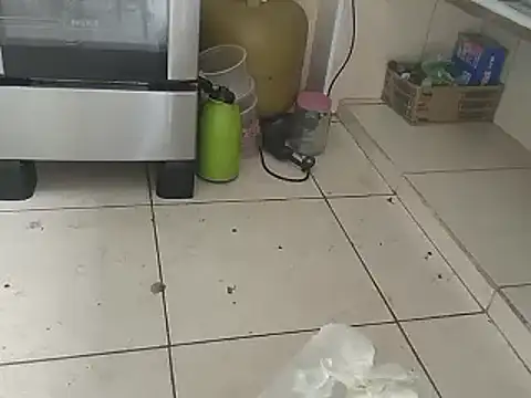 Snapshot of pikalindaxx chatting on January 15, 2025, 4:11 pm pikalindaxx online show from January 15, 2025, 4:11 pm