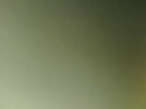 lovense test04 online show from March 11, 2025, 9:56 am