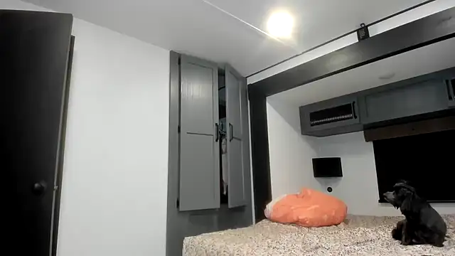 Snapshot of Persiasparadise chatting on February 16, 2026, 1:46 am Persiasparadise online show from February 16, 2026, 1:46 am