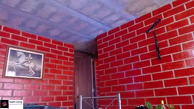 Trix fiore oficial online show from March 11, 2026, 9:10 pm