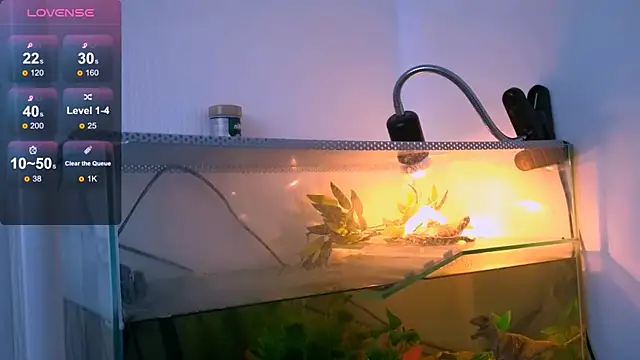 Britney Lynch online show from April 21, 2026, 2:51 am