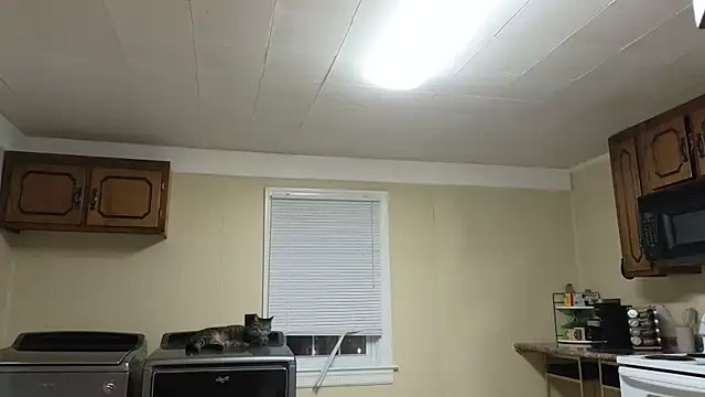 sexylilly69 online show from October 13, 2025, 2:00 am