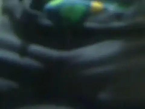 markluvskitty online show from March 14, 2025, 1:24 pm