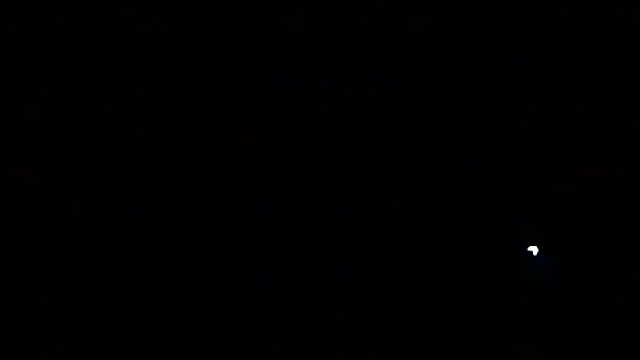 markluvskitty online show from March 13, 2026, 2:29 am