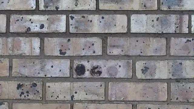 Astoria Moon online show from February 10, 2025, 7:07 pm