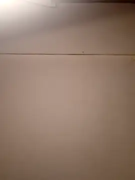 AmazonianMistress online show from September 21, 2025, 1:57 pm