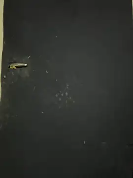 Black-mamba-madingo online show from October 9, 2025, 12:25 pm