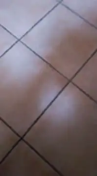 ZorraidaGiroNina online show from February 3, 2025, 4:10 pm