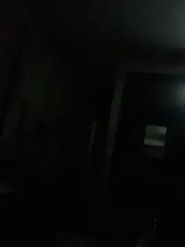 pajaroquemamaiz online show from February 5, 2025, 4:06 am