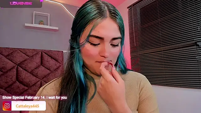 cattaleya    online show from February 13, 2025, 6:09 am