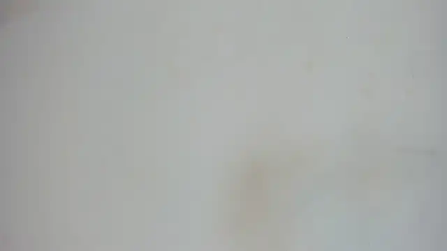 nami sam01 online show from January 31, 2025, 11:56 am