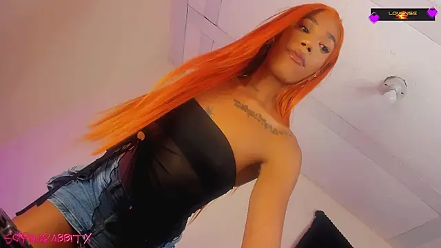 turabbitxx online show from November 7, 2025, 8:03 am