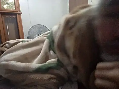 Xoc8  online show from February 14, 2026, 9:28 am