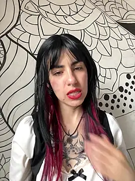  Artemisa X online show from April 24, 2026, 5:04 pm