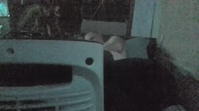 jaxx12369 online show from February 22, 2026, 7:01 pm