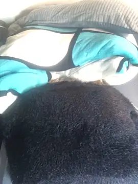 sexy barbie254 online show from March 2, 2025, 11:53 pm