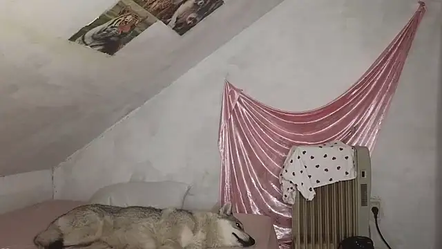 MAMA69LAMA online show from March 9, 2026, 7:40 pm