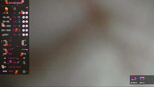 Project hisoka online show from February 8, 2025, 5:08 am