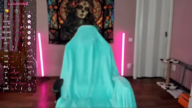 Project hisoka online show from March 5, 2025, 5:07 am