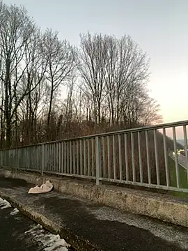 NickyGold Official online show from January 18, 2025, 4:10 pm