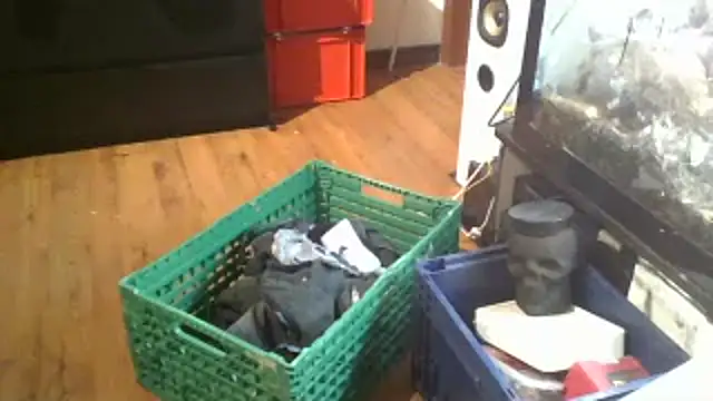 0815lukas2024 online show from January 16, 2025, 11:59 pm