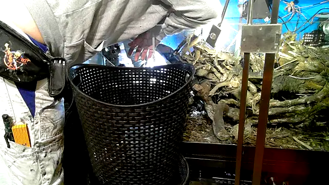 0815lukas2024 online show from October 7, 2025, 9:23 pm