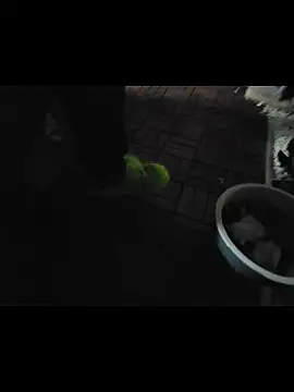 0815lukas2024 online show from November 16, 2025, 11:54 pm