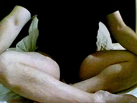 pollarikaaa online show from December 2, 2024, 4:42 am