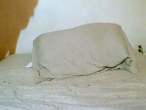 Snapshot of pollarikaaa chatting on December 14, 2025, 12:05 am pollarikaaa online show from December 14, 2025, 12:05 am