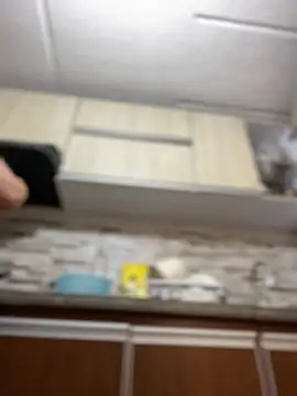 Salome golvert online show from March 2, 2025, 4:53 pm