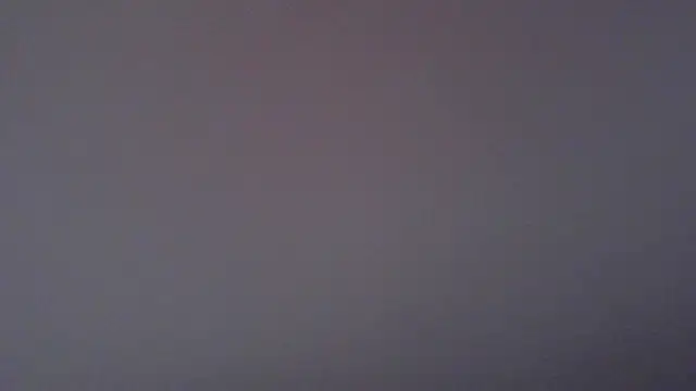 paytonkelly online show from April 6, 2026, 1:12 pm