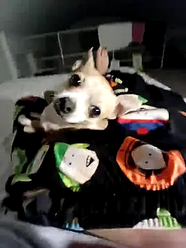 litleboy92 online show from November 15, 2025, 1:25 am