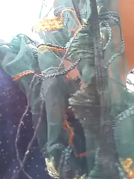 Simaran bhabhi online show from March 16, 2025, 4:09 am