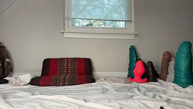 Theonlydreamybull online show from December 3, 2025, 4:49 pm