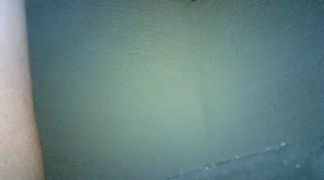 Bellabeltrann online show from January 25, 2025, 9:47 am