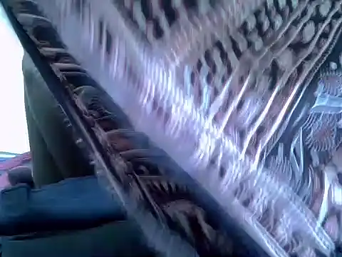 Snapshot of pointy_bloom chatting on November 22, 2025, 3:33 pm pointy bloom online show from November 22, 2025, 3:33 pm