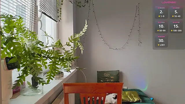 monlight  dana online show from January 27, 2025, 11:54 am