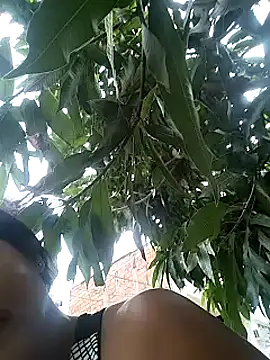 Berry Bans online show from March 13, 2025, 8:32 pm