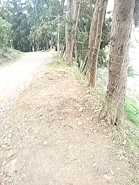 Demiansteven2 online show from March 13, 2026, 4:24 pm