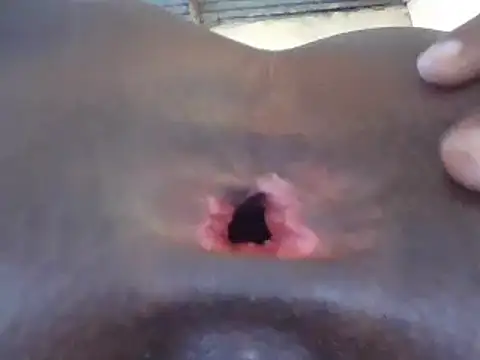 petitev online show from December 16, 2024, 1:22 pm