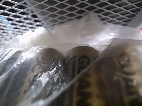 Snapshot of Lovensetest chatting on September 30, 2025, 7:35 am Lovensetest online show from September 30, 2025, 7:35 am