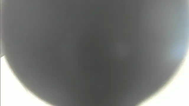 linasantoss online show from January 26, 2025, 5:13 pm